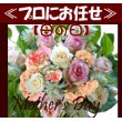東京都中野区フラワーポート中野新橋店の花　【母の日】期間対応商品　「迷わずたのめる」カーネーション入りギフト用アレンジメント　生花