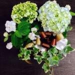 今週末には感謝 を伝える日があります# ＠ 母の日 ギフト 承り中です＾0＾｜「フラワーポート」　（東京都中野区の花キューピット加盟店 花屋）のブログ