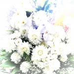 本葬 #慈眼寺 2016年7月25日 中野区中央3-33-3|「フラワーポート」　（東京都中野区の花屋）のブログ